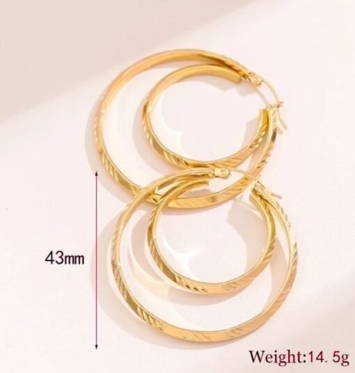 Hoop Earrings Gold Plated