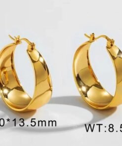 Hoop styles Gold Plated Earrings